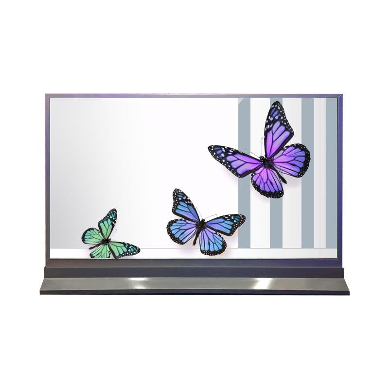 LG自发光55寸OLED透明屏红外电容触摸OLED透明拼接广告显示屏32