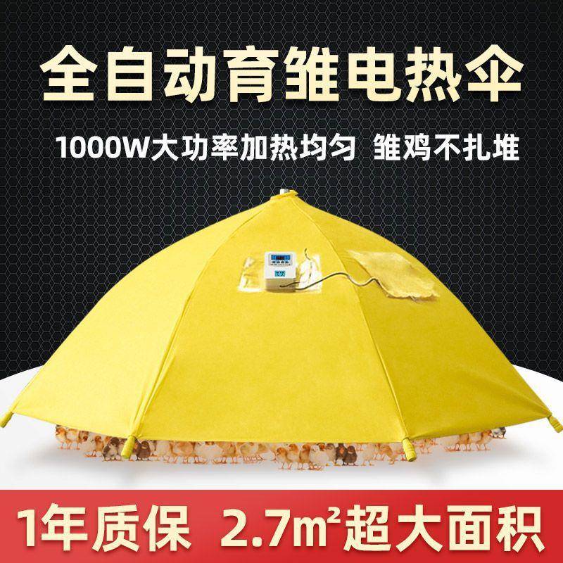小鸡育雏伞育雏器鸡苗脱温设备自动控育雏箱保温伞养鸡鸡棚鸡舍