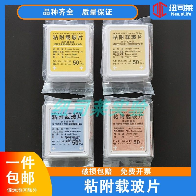 病理防脱粘附载玻片 高品质组织正电荷处理 高清免洗办公用品耗材
