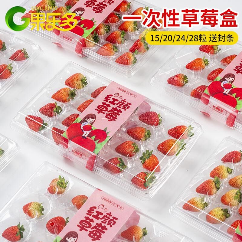 一次性草莓盒子包装盒透明塑料水果打包盒15粒20粒24粒28粒装草莓