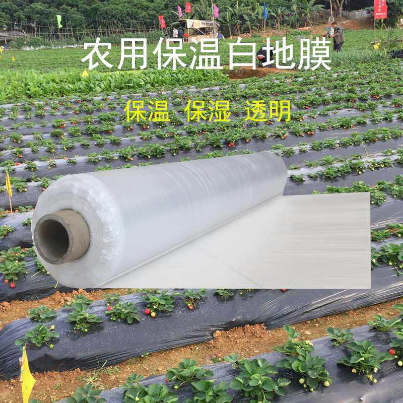 黑地膜农用黑膜白膜果园除草防草膜保温保湿蔬菜塑料薄膜种植加厚