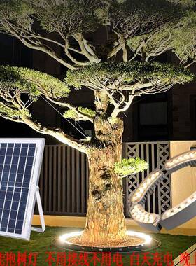 白天充电上自动亮晚灯工程抱树灯品质户外灯防l水ed投抱光灯太阳