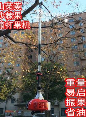 桃采机核收打板NFB栗机青梅沙棘山茱萸打果机橄榄摘坚果采机摘器