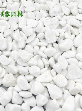 黑白黄鹅卵c石建白色石园林铺路造砾景白石子富贵648家筑1-2m