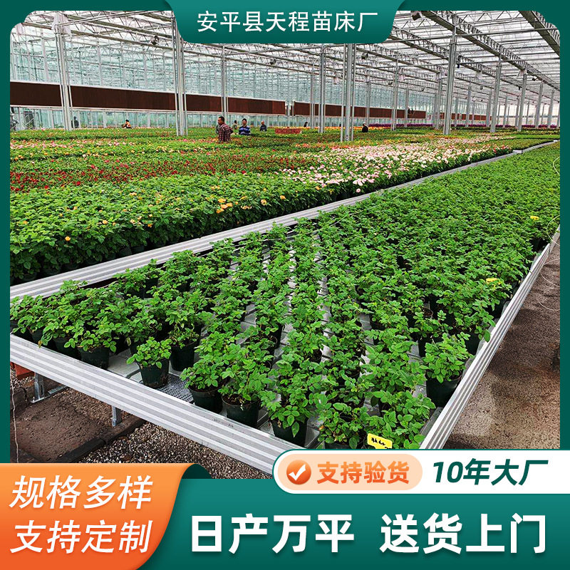 花卉温室连栋暖棚潮汐苗床保温