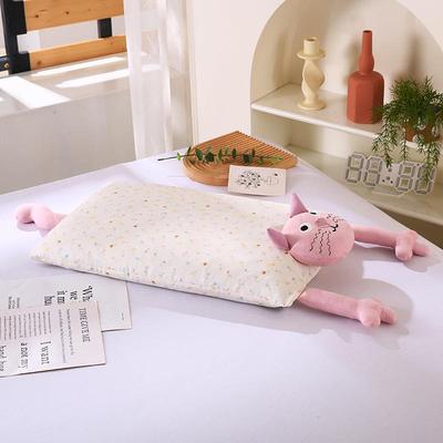 全纯棉双层卡通荞麦芯儿童枕学生成纱人棉护AXX颈枕