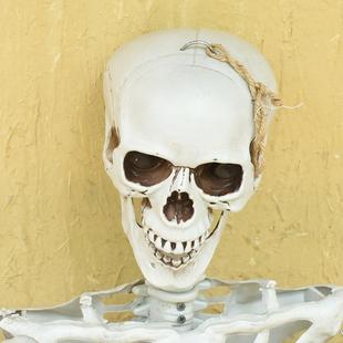密圣室摆人鬼屋酒吧装 饰布置RYX道具件万节165CM成仿真塑料骷髅骨