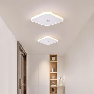 雷d达人体感应智能le吸顶灯廊过道走灯楼梯灯楼灯道732灯具