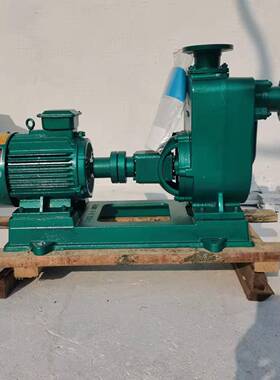 铸铁自cEOP舱底吸海吸水泵440v电压60hz船用cs增压污水潜水泵自式