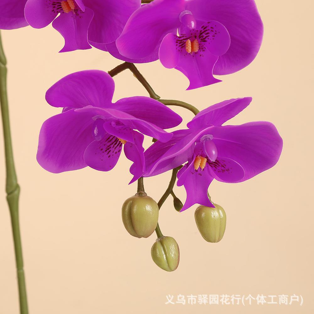 7蝴蝶兰陶盆栽手胶片感仿真花摆瓷件客厅卧室装朵饰园252695艺盆