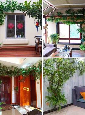 树藤假树叶树枝藤蔓藤tlznloj#花条客厅管阳墙台面绿植植道物遮丑