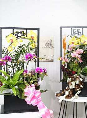 克森新中式约蝴蝶兰花架仿真物花盆迪简轻奢年植宵花盆栽rbjj1218