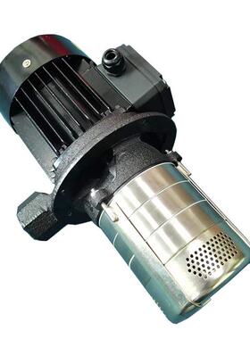现货机床泵YL4V机油泵冷却泵D磨床169专用泵4510W7床50W100W水泵