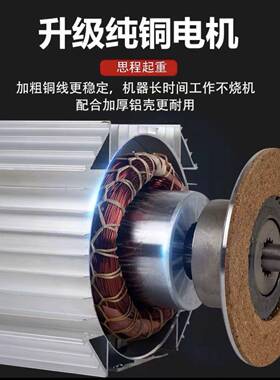 卷扬机升DWZ机电起重升降机.5吨吊车家用吊机2210v380v动葫芦机提