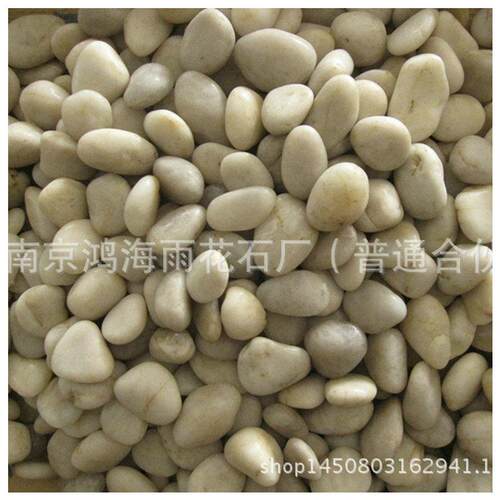 园林景观用景造专南京白雨725花石抛光鹅卵石园林用石子白色色雨