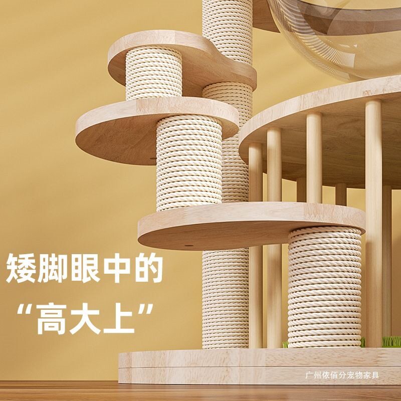 豪华矮脚短腿架幼猫小户型猫树实木猫窝网红猫爬架跳台曼基康专属