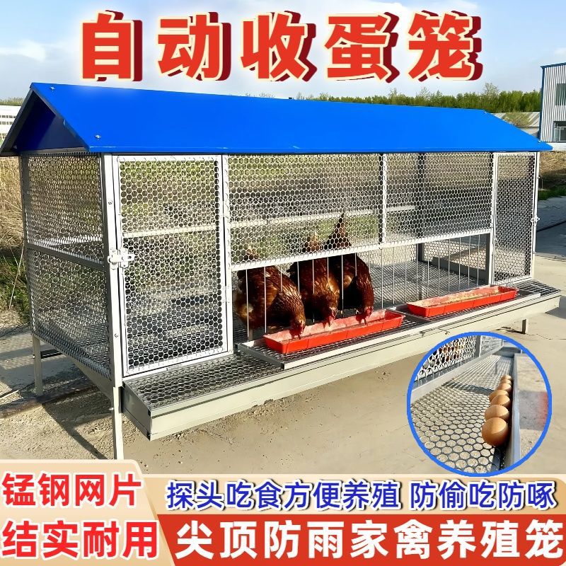 鸡笼子家用大号特大家禽养殖笼鸡鸭鹅笼加厚自动滚蛋鸡笼蛋托防护