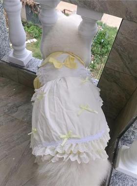 狗狗衣服CWT款中大型犬子春季薄防毛夏装黄裙主风公狗裙狗裙狗洋
