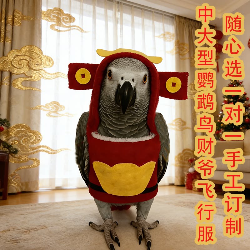 2026财神款灰鹦鹉飞行服小鸟类衣服冬季保暖服加绒鸟用喜庆拜年服