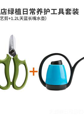 高档施wort鲜h园艺艺剪刀花家用插花修枝剪花店花剪子花沃道剪工