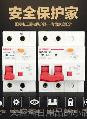 高档国际电工小型断路器DZ47家开电闸1/263A总空气关带漏P电保护