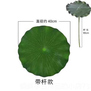 正品南可采莲古池典演出服舞女练功服江儿童鱼戏莲叶间入莲间上舞