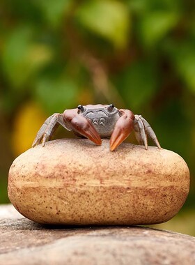 螃蟹紫砂变色桌面茶宠摆件喷水荷花观赏螃蟹功夫茶盘茶玩茶具配件