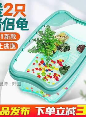 龟缸龟生态缸乌龟缸家用家养养龟缸用水陆两用别乌大墅RPJ小大超