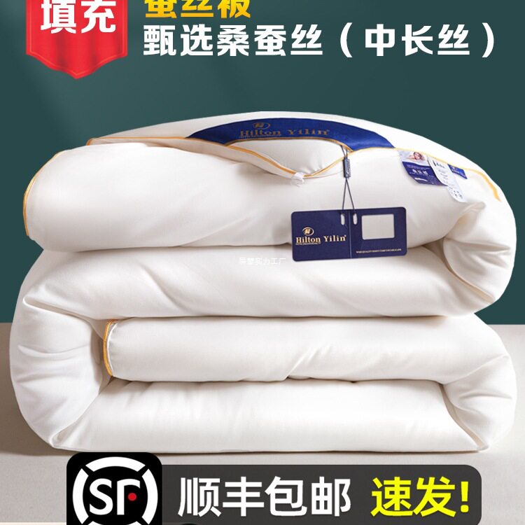 出口A+桑蚕丝双人加厚蚕丝被