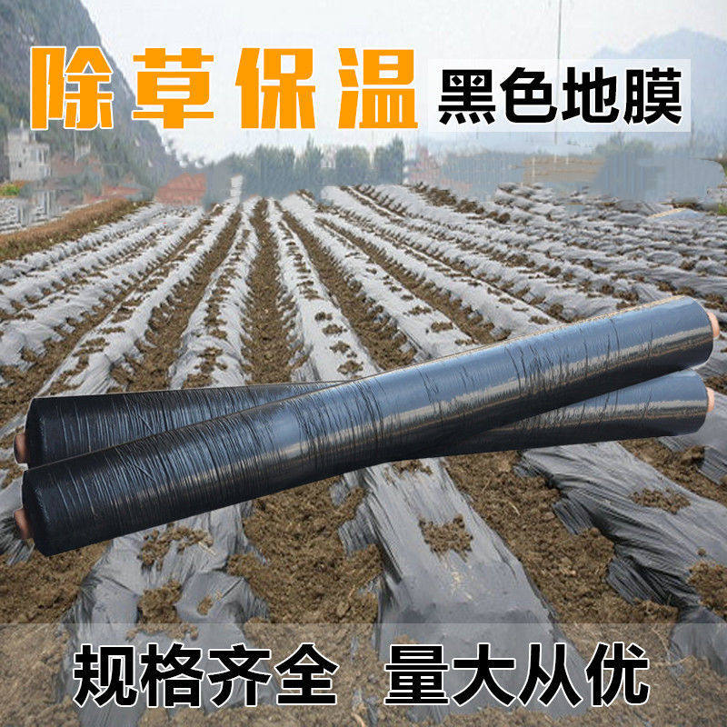 黑地膜农用种植加厚可降解塑料薄膜果园除草保温保湿玉米防草大棚