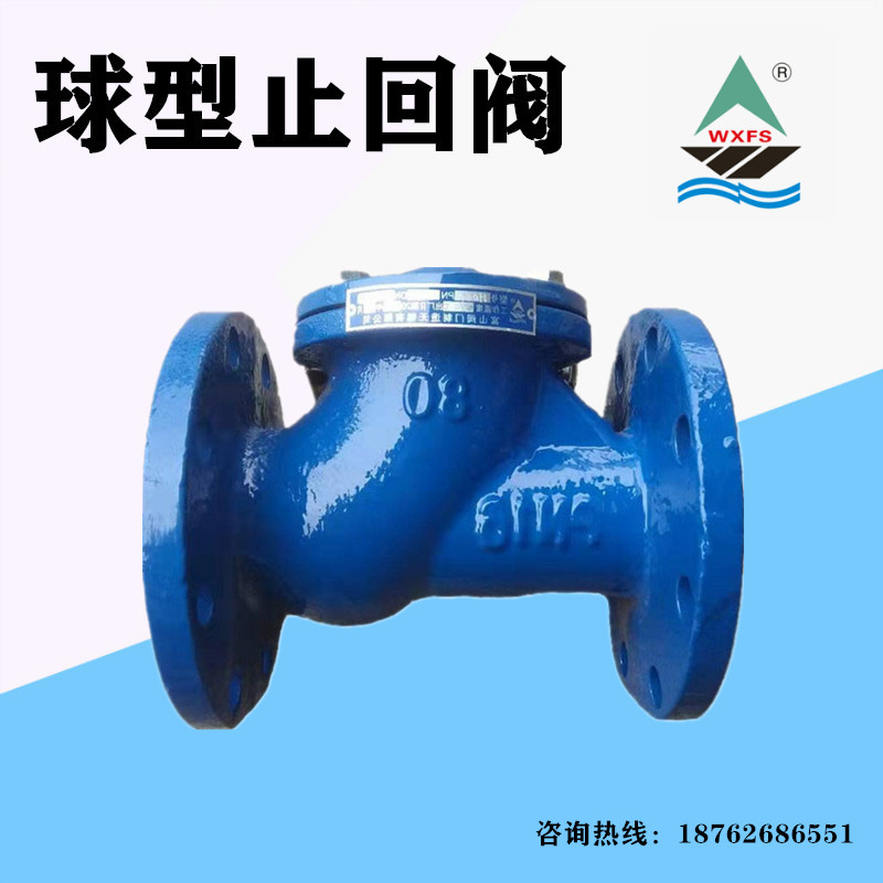 HQ1X-1法兰铸铁排污球型止回水泵用寸5寸寸DN1DN100DN200