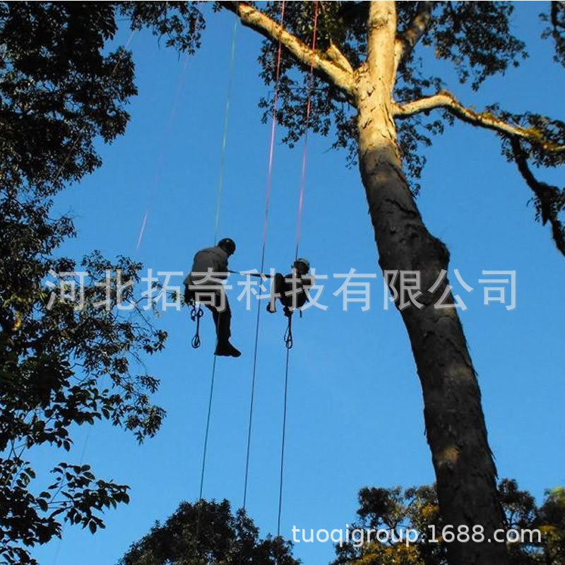 SRT绳索攀树设备 亲子研学基地游乐设施 历奇探险攀登用品安装