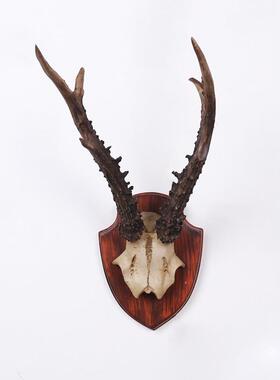 壁羚羊头鹿头动物头挂软CF113044装样板厅房玄关客墙壁饰办公室创