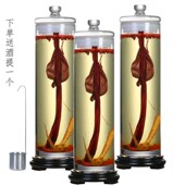 玻璃泡酒瓶人参鹿鞭泡酒缸直筒玻璃瓶长筒圆柱密封罐细高泡酒罐子