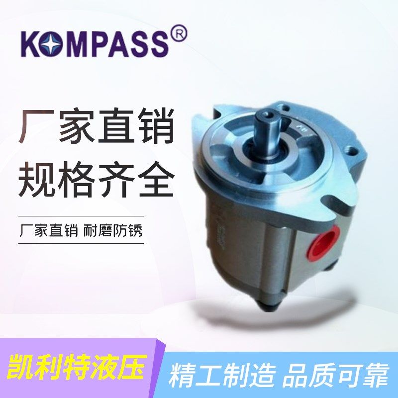 康百世P102/P127/P135/P104/05/P106/7/9油泵P101RP01GT齿轮泵,标准件/零部件/工业耗材,液压泵,淘宝优惠券,粉丝福利购,淘宝优惠卷