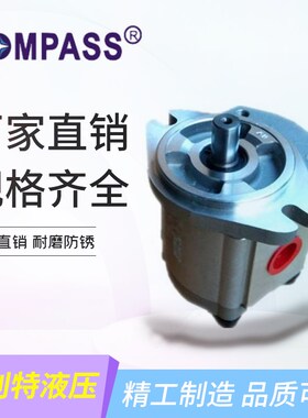 康百世P102/P127/P135/P104/05/P106/7/9油泵P101RP01GT齿轮泵