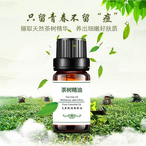 高档茶树精油面部油控制痤疮面部摩皮肤护单理侧收按缩毛孔正品10