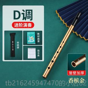高档爱尔兰调哨笛D调C降B属笛口笛竖笛初学者入调门专业款六孔直