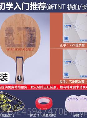 高档拍1里奥NT-素乒乓球底板碳高弹快攻型乒乓球拍底板TTCT直板正