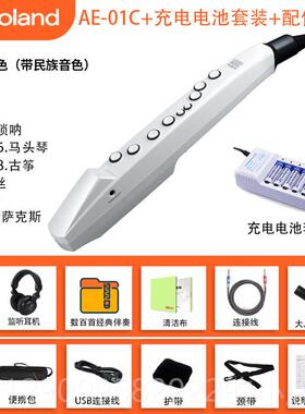 正品Rolad兰吹管乐n器AE01娱电乐初学ae05/01c电罗子萨克斯葫芦丝