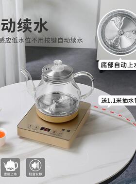全水自动底18751部涌泉上水电热泡壶玻璃家煮水壶烧水壶茶用专用
