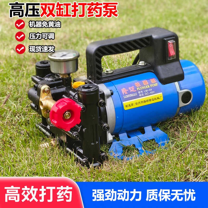 手提式打药机农用电动果树喷雾器12V48V60V220伏高压双缸柱塞泵