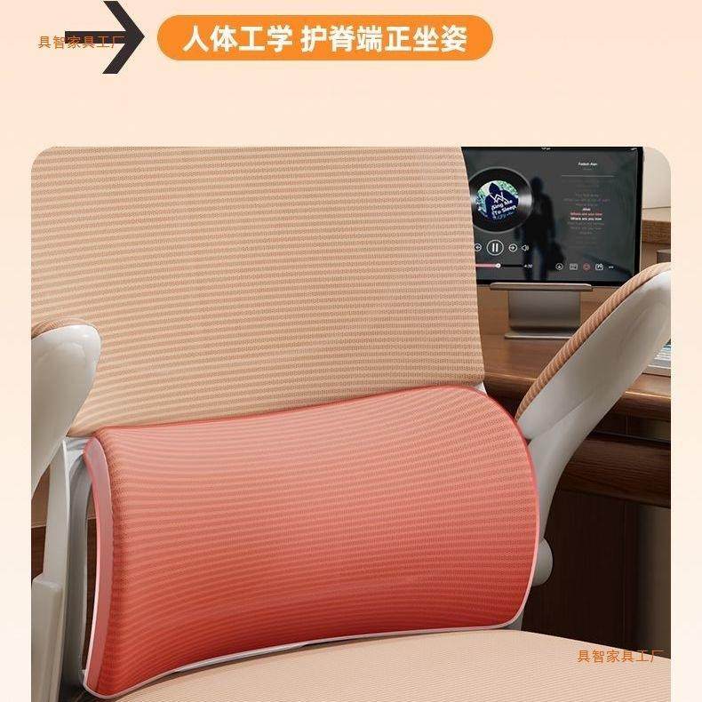 沙椅DWM电脑椅发儿升童学习椅矫正坐姿写字椅子降调节不钢锈塑料