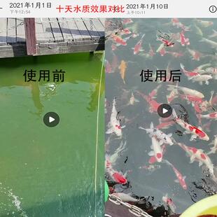 转鼓微滤机鱼池自动反冲洗循环便分鱼离滤器水产养微BUY殖过滤机