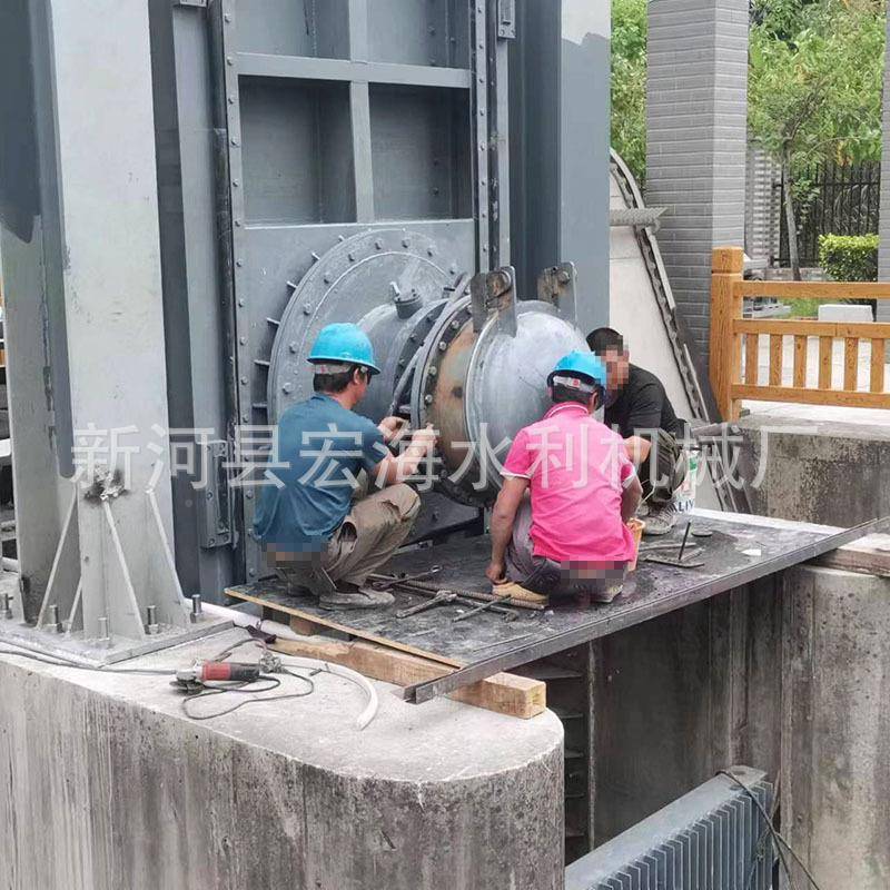 一体化泵闸河道防ZOO洪排能涝闸门一体泵化泵闸装置污智截泵闸