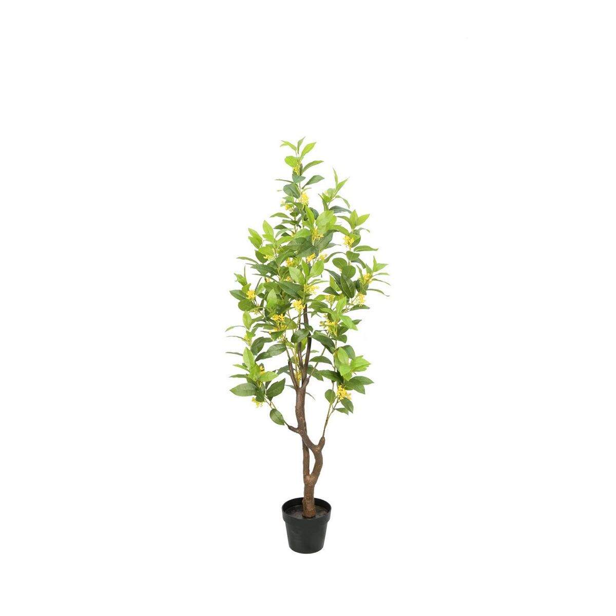 仿真盆栽花树盆桂景岩桂树摆件木犀树植东莞绿茵LV800绿九里香装