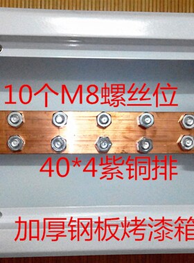 机房专用防雷接地等电位箱联结端子箱加厚40X4紫铜排300X200X100