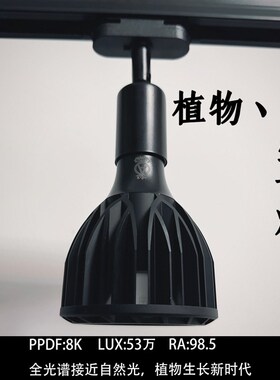 植物补光灯龙舌兰块根全光谱led仿太阳光UVA紫外线热植专用生长灯
