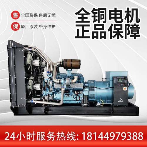 1000KW上研动力柴油福发电GRSY-100机组海斯坦无上刷发电机项目备