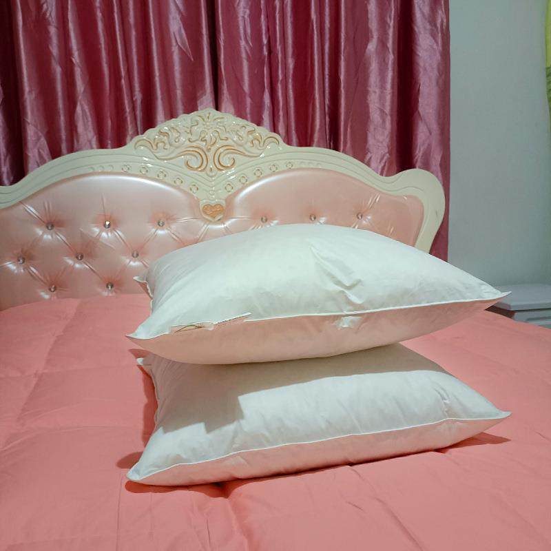 用抱出1-6家酒店民宿羽绒枕芯枕头枕芯白鸭口绒靠垫